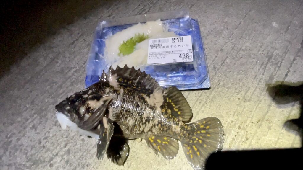 冬の釣りには イカそうめん が有効 釣りいちの集まれフィッシュ